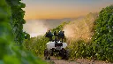 r100-fog-annon.webp